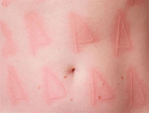 Ariana Russells Ephemeral Skin Compositions Skin Human Body Body