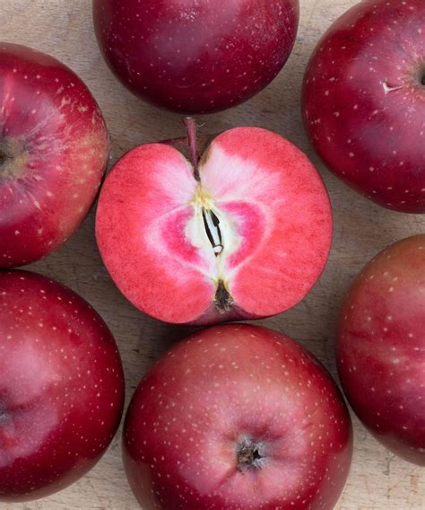 The Red Flesh Apple Trend Will Add Mystery To Your Garden Gardeningetc