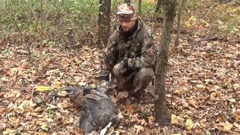 Turkey Hunting Bow Hunting From A Tree Youtube
