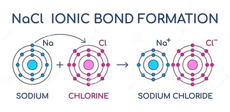 Sodium Chloride Ionic Bond Formation Nacl Structure Sodium And