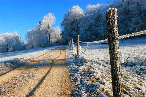 Nature Winter Snow Road Trees Forest Sky Landscape Forest Road