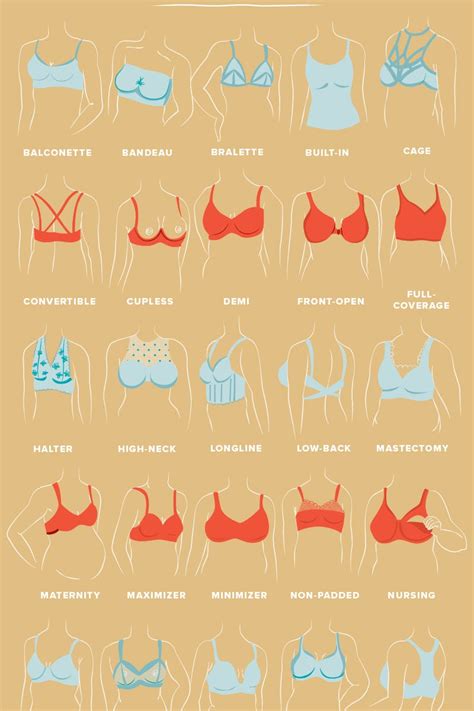 Types Of Bras Cups Straps Support Sizing And More