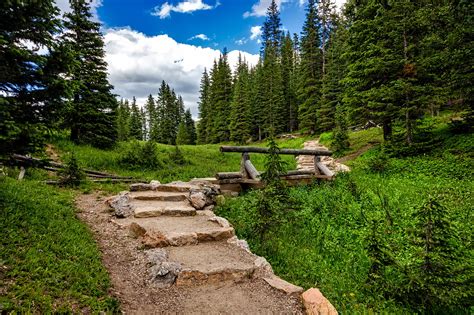 Free Images Landscape Tree Nature Forest Path Wilderness
