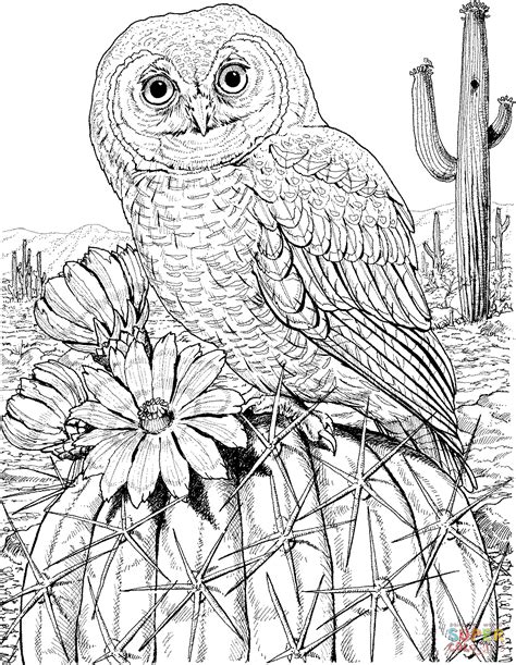 Cute printable owl coloring pages for kids. Free Owl Adult Coloring Pages To Print - Coloring Home