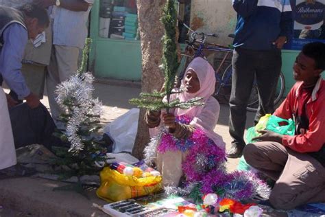 Selling Christmas Trees On The Streets Eritrean Markets Eritrea