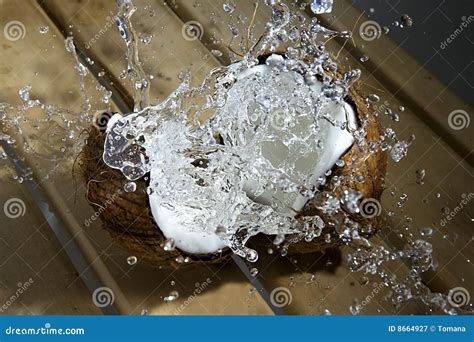 Splash Of Coconut Milk Stock Image Image Of Plate Water 8664927