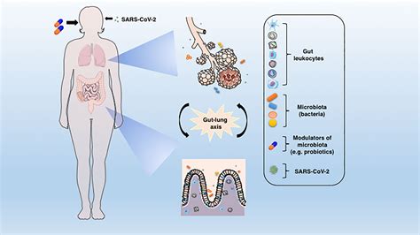 Frontiers Microbiota Modulation Of The Gut Lung Axis In Covid