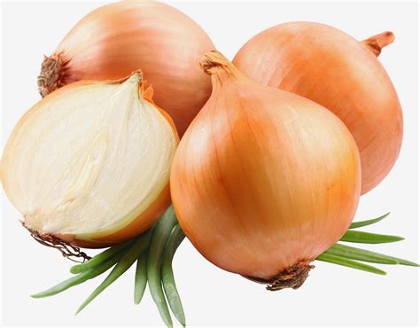 Onions Benefit To Smooth Digestive And Lower The Risk Of Heart Health