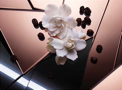 Black Opium Floral Shock Yves Saint Laurent Perfume A