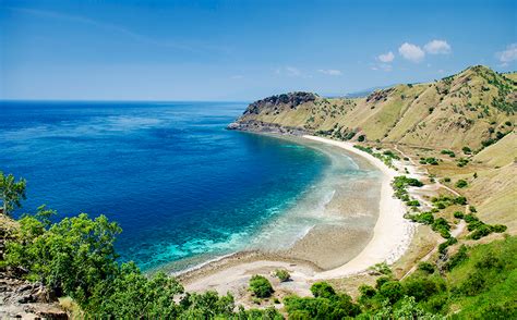 The relative new nation is situated in the eastern half of the island of timor, at the eastern 'end' of the lesser sunda islands, north of the timor sea and australia. 4 Reasons You Should Go Diving in Timor Leste
