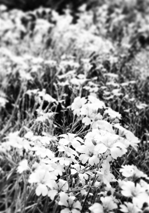 But if you live there you know that most people are quite happy to have a chat if they have time and will help you if needed. The Difference Between Simplicity and Minimalism - Be More ...