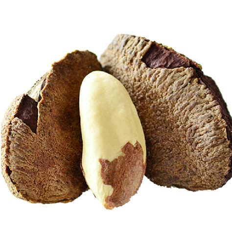 Бразильский орех в скорлупе купить в СПб оптом и в розницу