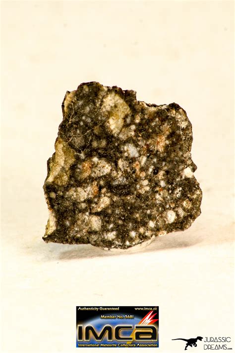 Lunar Meteorite Nwa 12870 078 G Feldspathic Breccia Thin Section