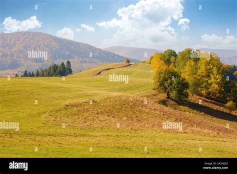 Colorful Forest On The Hill Beautiful Mountain Scenery Of Carpathian