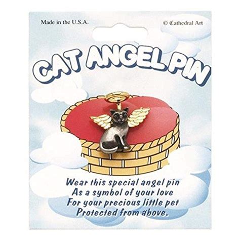 Buy Cathedral Artcathedral Art Abbey And Ca T Cat Angel Pin Comes On