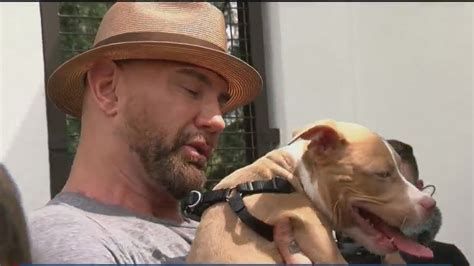 Dave Bautista Adopts Abused Tampa Puppy Offers 5k Reward Youtube