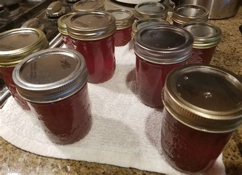 Kudzu Jelly How To Make And Can Kudzu Jelly