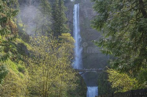 Multnomah Falls State Park Oregon State Stock Image Image Of