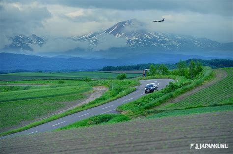 Japankuru Hokkaido Trip In Summer ♪ 4 Days 3 Nights Road Trip To