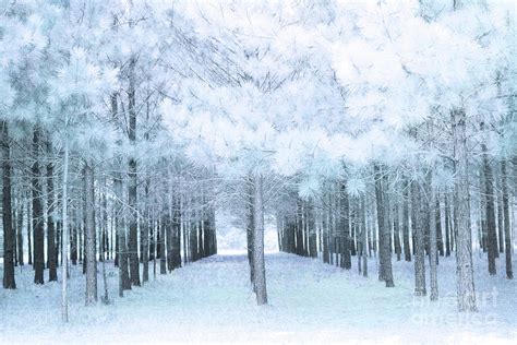 Pastel Baby Blue Nature Trees Woodlands Baby Boy Pastel Blue Nursery