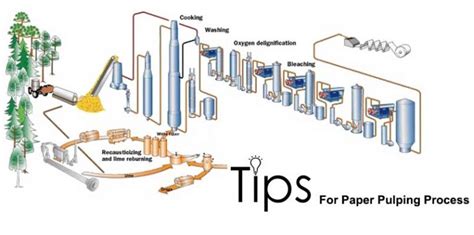 Tips For Paper Pulping Process Pulp Cooking Washing And Screening