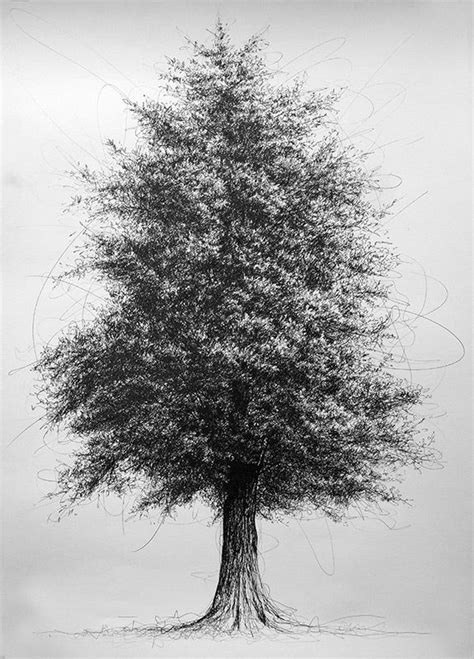 Pin By Gabriel Manzano On Tree Ink Trees Art Drawing Tree Drawings