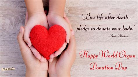 40 World Organ Donation Day Messages Quotes And Greetings
