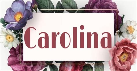 Significado De Nome Significado Carolina