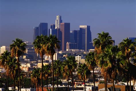 Palm Trees And The Downtown Los Angeles Skyline California Usa 6 12