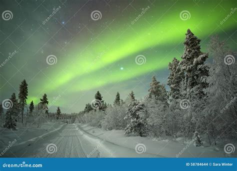 Aurora Borealis En Laponia Finlandesa Foto De Archivo Imagen De Verde