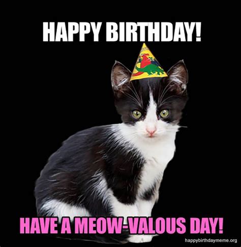 🐱 31 Funniest Cat Birthday Meme Cute Cat Memes Happy Birthday Cat