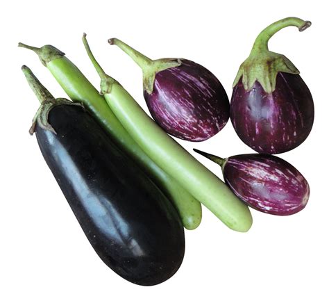 Brinjal Eggplant Png Image Purepng Free Transparent Cc0 Png Image