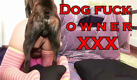 Curious Dog Licks And Drills Owners Wet Xxx Sissy In
