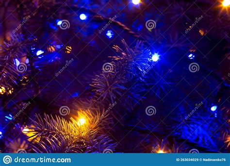 Christmas Tree In The Dark Illuminated With Blue Lights Stock Image
