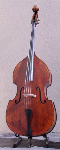 Cello And Double Bass Animato Strings