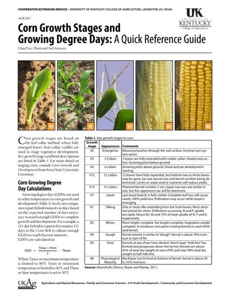 Agr 202 Corn Growth Stages And Growing Degree Days A Quick