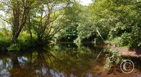 Cyclists tackle the trail from wadebridge to padstow in cornwall. The River Camel along the Camel Trail | Camel Trail ...