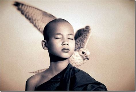 Oltre Il Muro Arte E Fotografia Gregory Colbert Ashes