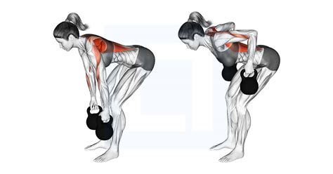 Kettlebell Bent Over Row Guide Benefits And Form