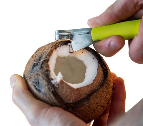 cococrack lets you easily and safely open and cut coconuts