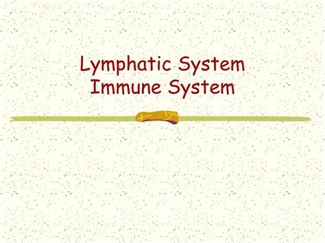 Ppt Lymphatic System Immune System Powerpoint Presentation Free
