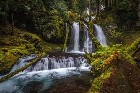 Water Cascades In Forest 4k Ultra Hd Wallpaper Background Image