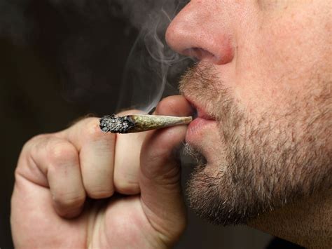 Hardcore Pot Smoking Could Damage The Brain S Pleasure Center Science Aaas
