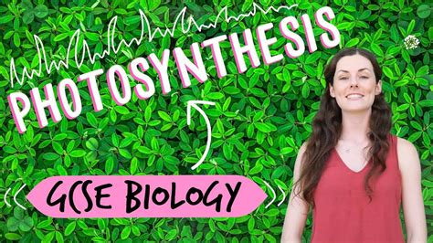 Photosynthesis Gcse Biology Youtube