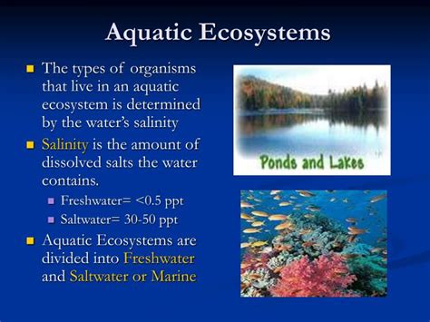 Types Of Aquatic Ecosystems Sciencing Vrogue Co