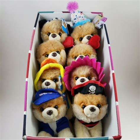 Nwt Gund Itty Bitty Boo The Worlds Cutest Dog 5” Plush Stuffed Toys