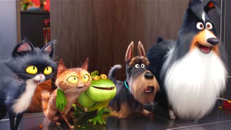 The Life Of Pets All You Need To Know Metforminketogenicdiet