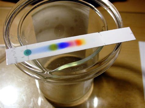 A Cromatografia Em Papel