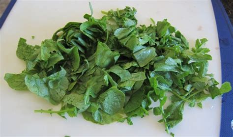Although there is a huge difference between the pet rabbit and wild rabbit. Can You Eat Radish Greens? - Melanie Cooks