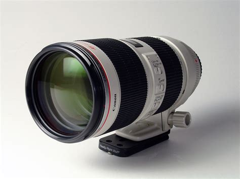 Best Telephoto Zoom Lenses For Canon Dslrs
